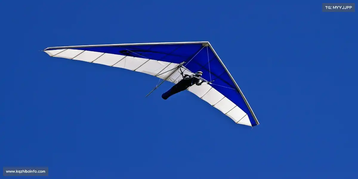 看球体育直播——🥊拳力以赴！释放压力，格斗课程点燃你的斗志🔥